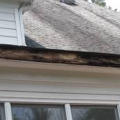 #22 Gutters (damage to fascia due to clogged gutters)